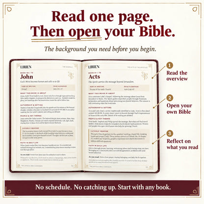 Compañero de la Biblia Católica Lirien™