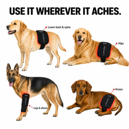 Lirien™ Red Light Band for Pets