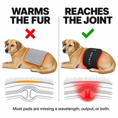 Lirien™ Red Light Band for Pets