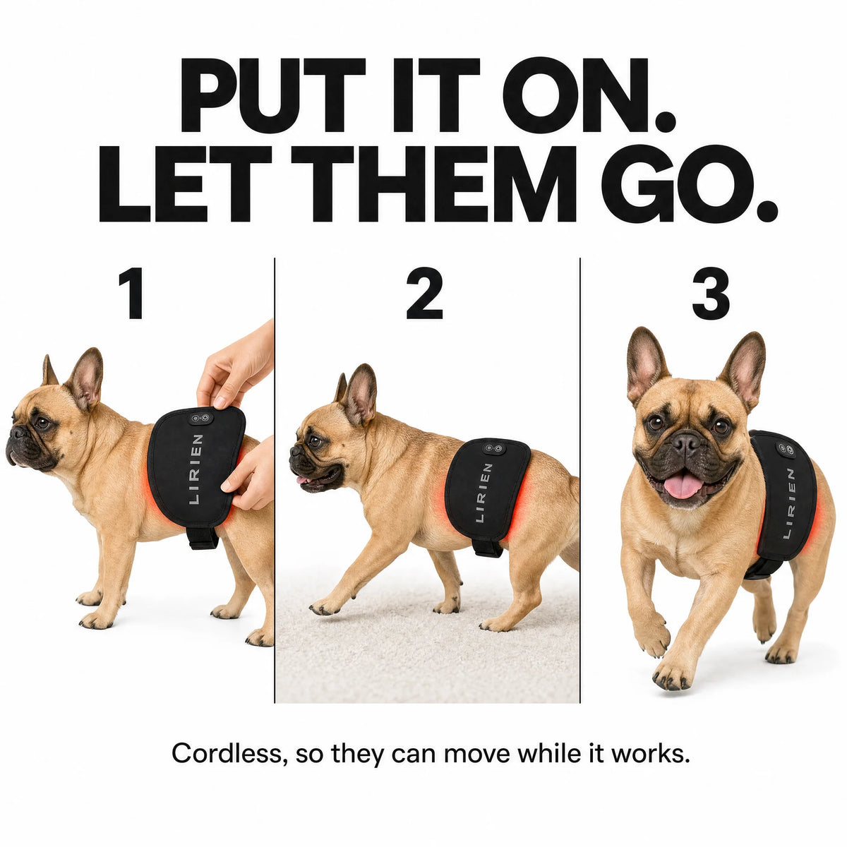 Lirien™ Red Light Band for Pets