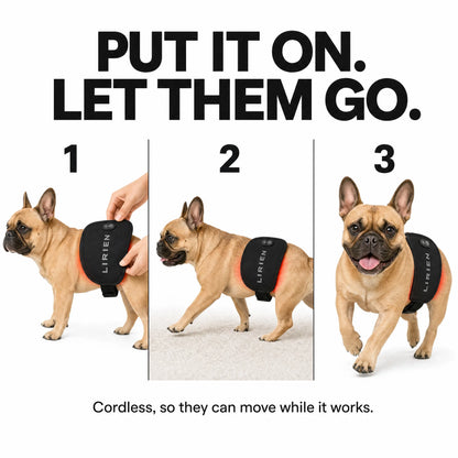 Lirien™ Red Light Band for Pets
